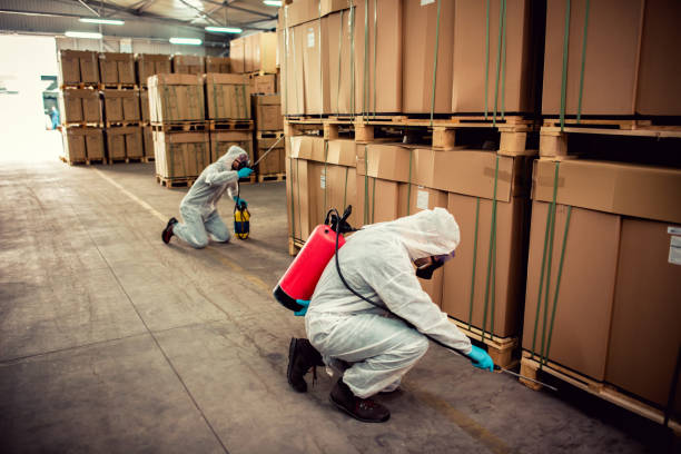 Best Flea Control Services  in Bainbridge, OH