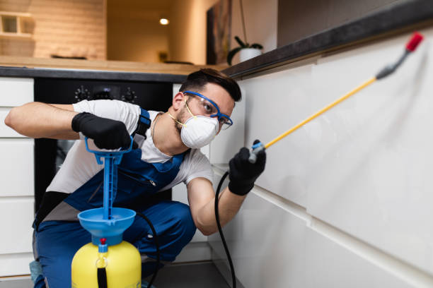 Best Pest Control for Businesses  in Bainbridge, OH