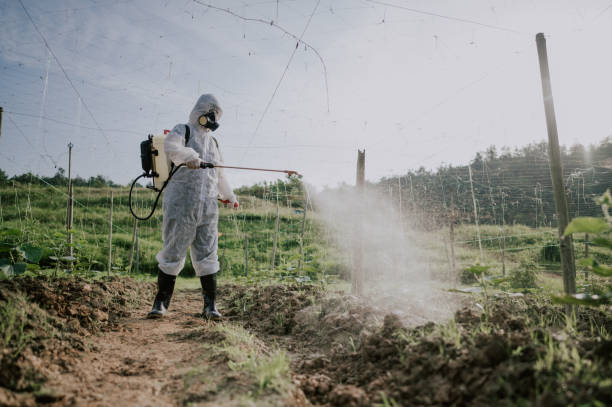 Best Pest Removal Services  in Bainbridge, OH