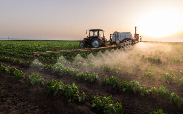 Best Pest Prevention Services  in Bainbridge, OH