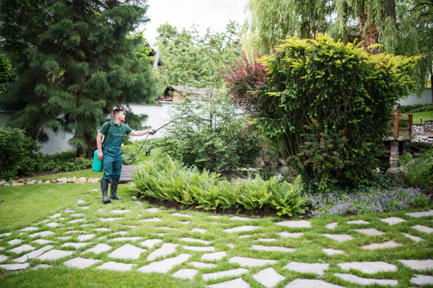 Best Pest Inspection Near Me  in Bainbridge, OH