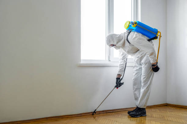 Best Rat Extermination Near Me  in Bainbridge, OH