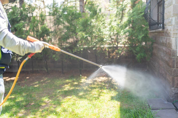 Best Wasp Removal Services  in Bainbridge, OH