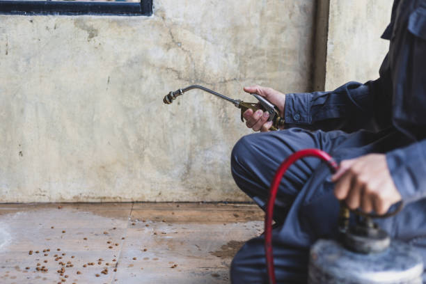 Best Local Pest Control Services  in Bainbridge, OH